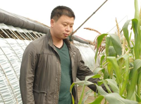 万利·(中国区)官方网站