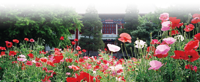 万利·(中国区)官方网站