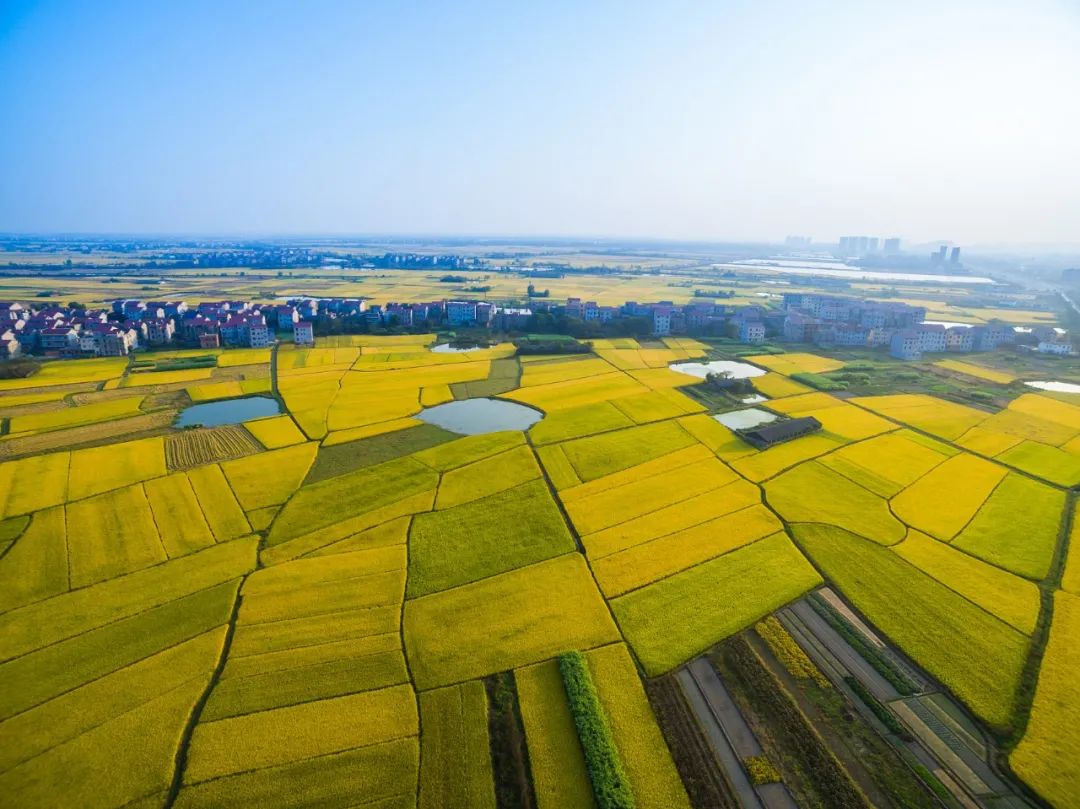 王辉：有“人气儿”，，，，，，，，经济才有活力