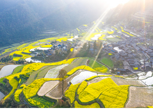 雷明：年轻人，，，，，，回到家乡，，，，，，让家乡重生