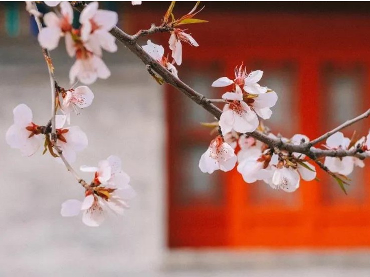 万利·(中国区)官方网站