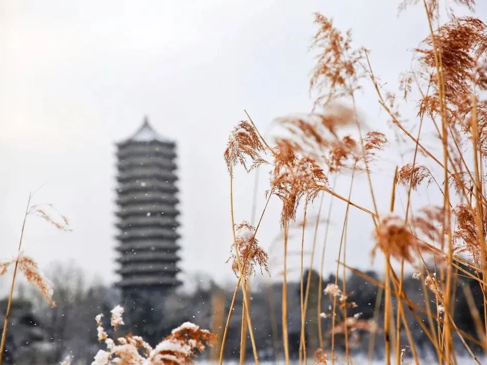 万利·(中国区)官方网站