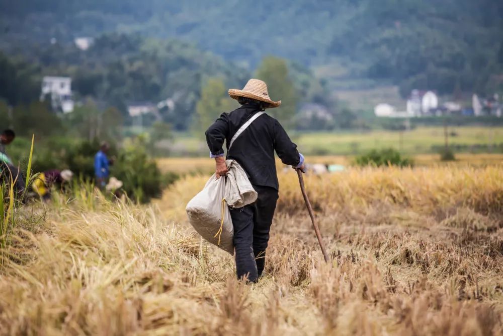 雷 明：人类历史上最伟大的故事之一，，，，，，，，我们该怎样讲述？？？？？