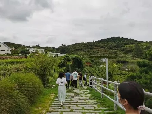 万利·(中国区)官方网站