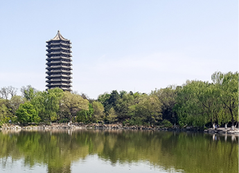 万利官网头脑力果真课寓目指南