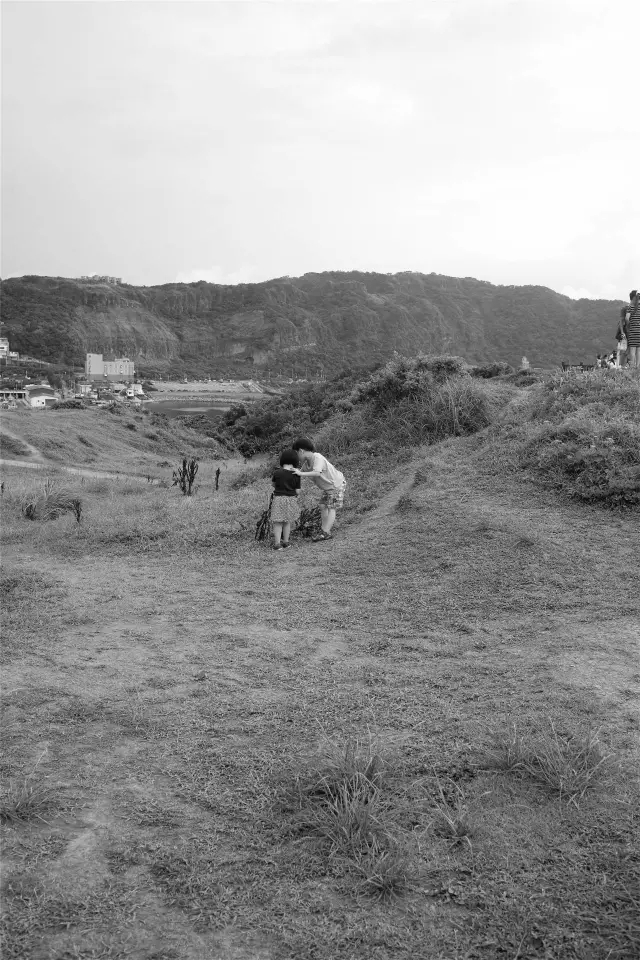 万利·(中国区)官方网站