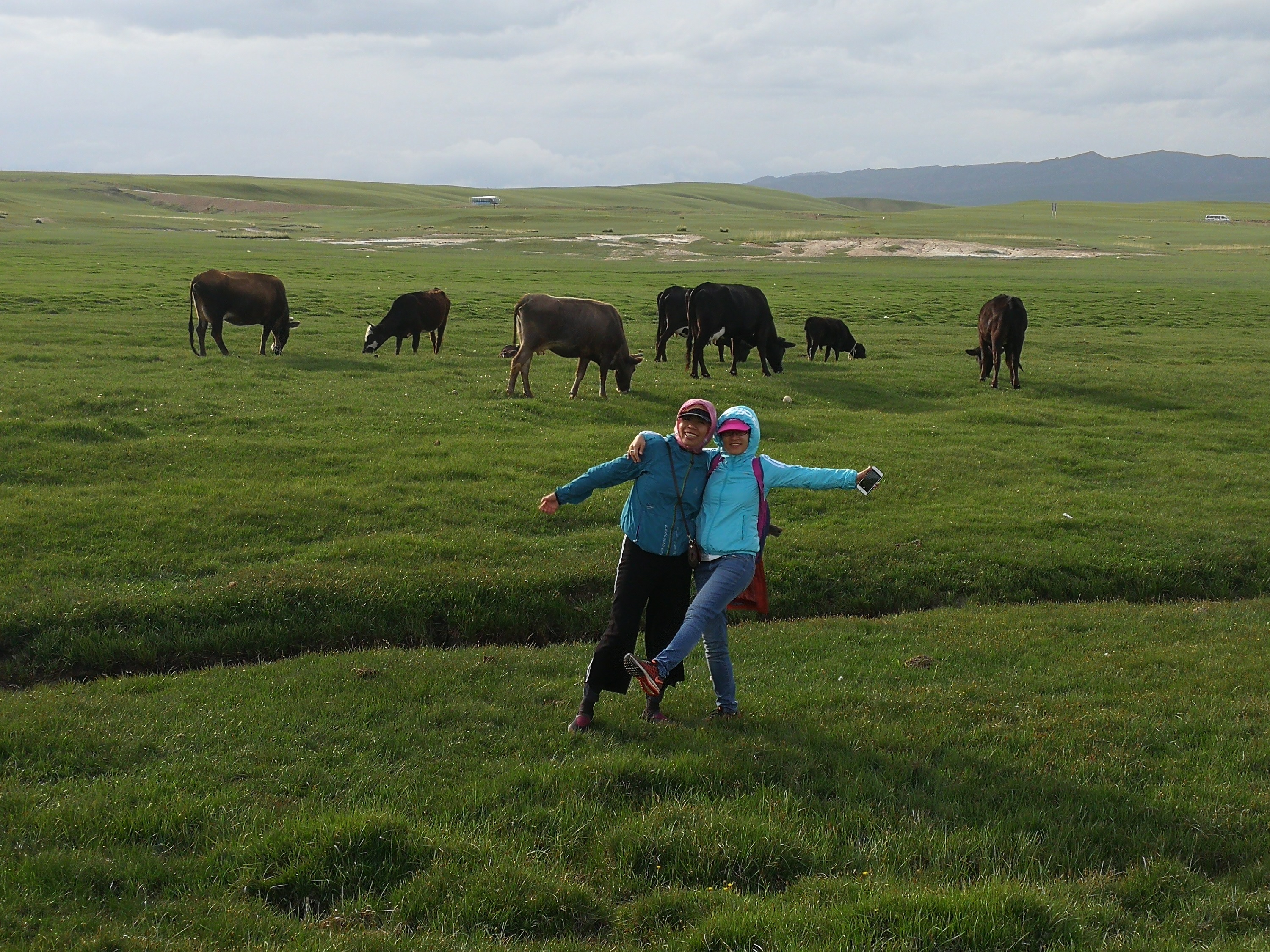 万利·(中国区)官方网站