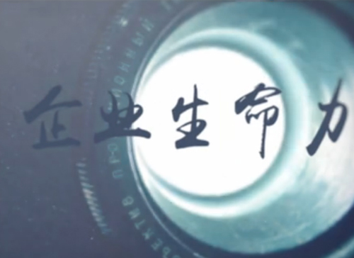 万利官网微课堂《刘学：什么决议企业的生命力》