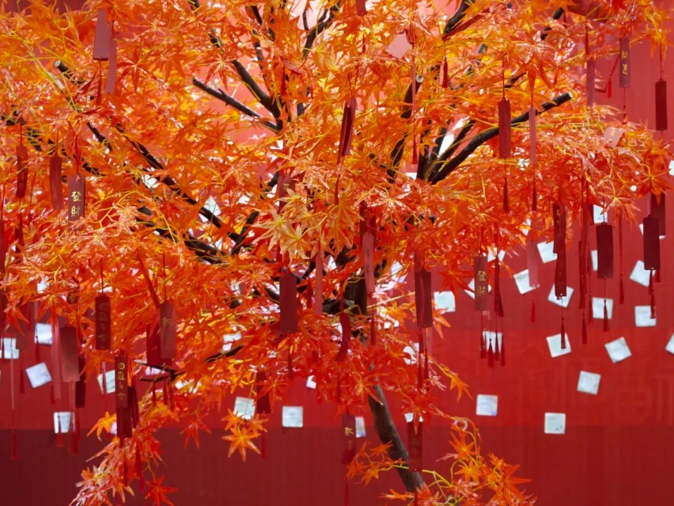 万利·(中国区)官方网站