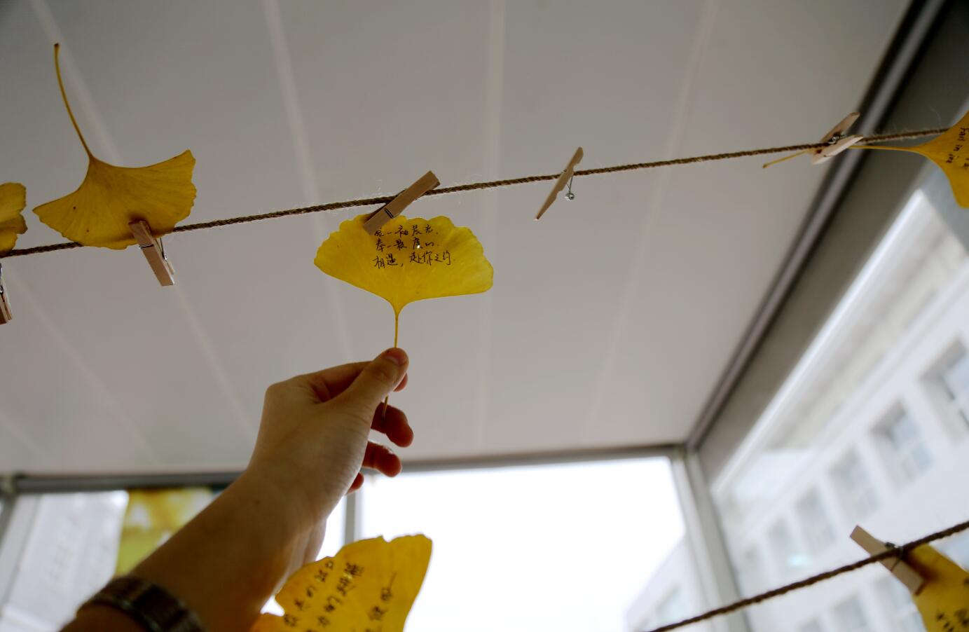 万利·(中国区)官方网站