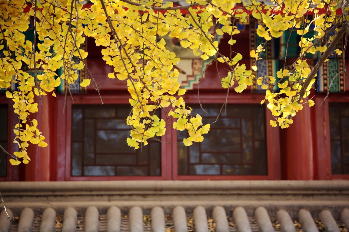 感动 | 确认过眼神，，，，，你是对的人