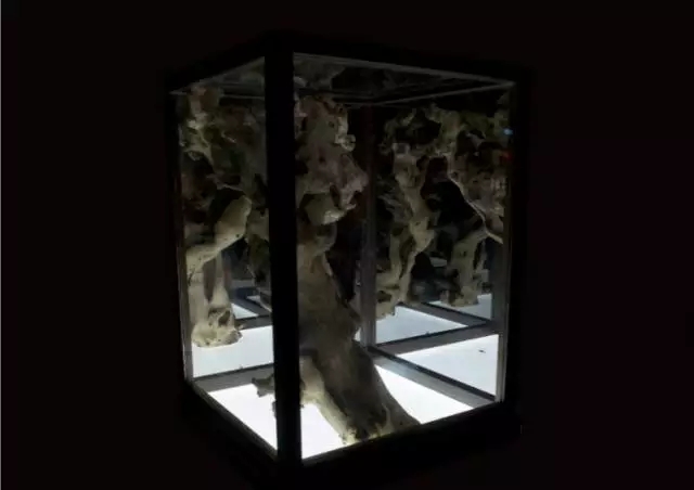 万利·(中国区)官方网站