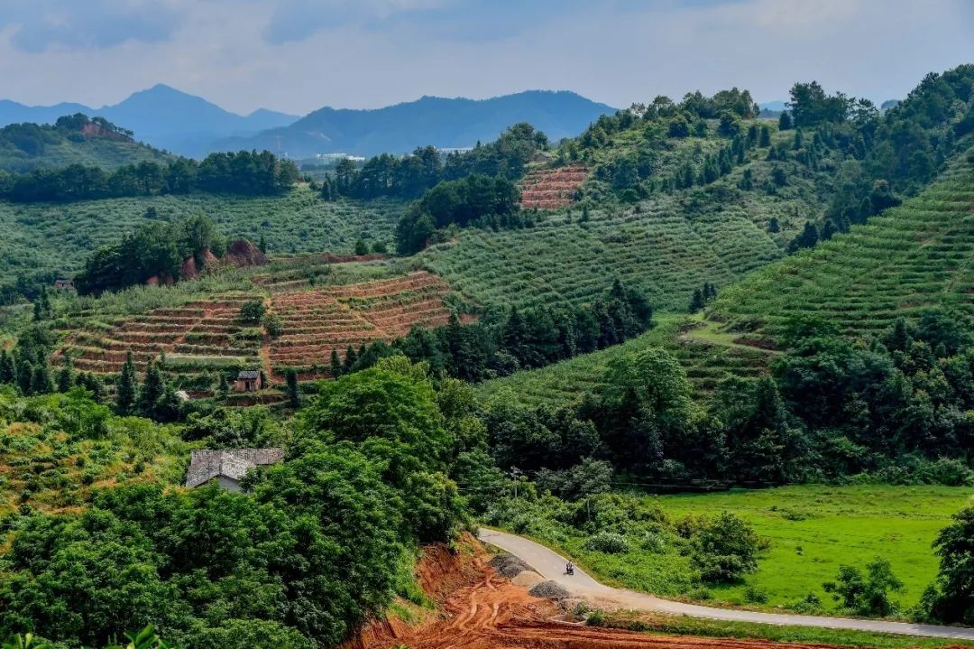 ������(�й���)�ٷ���վ