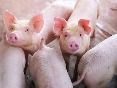 万利·(中国区)官方网站