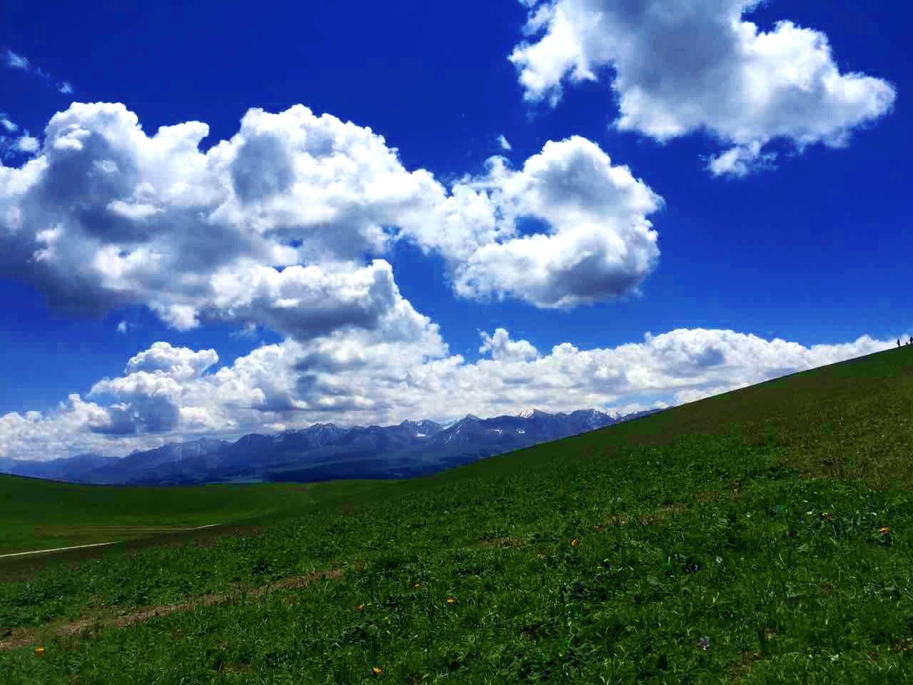 万利·(中国区)官方网站