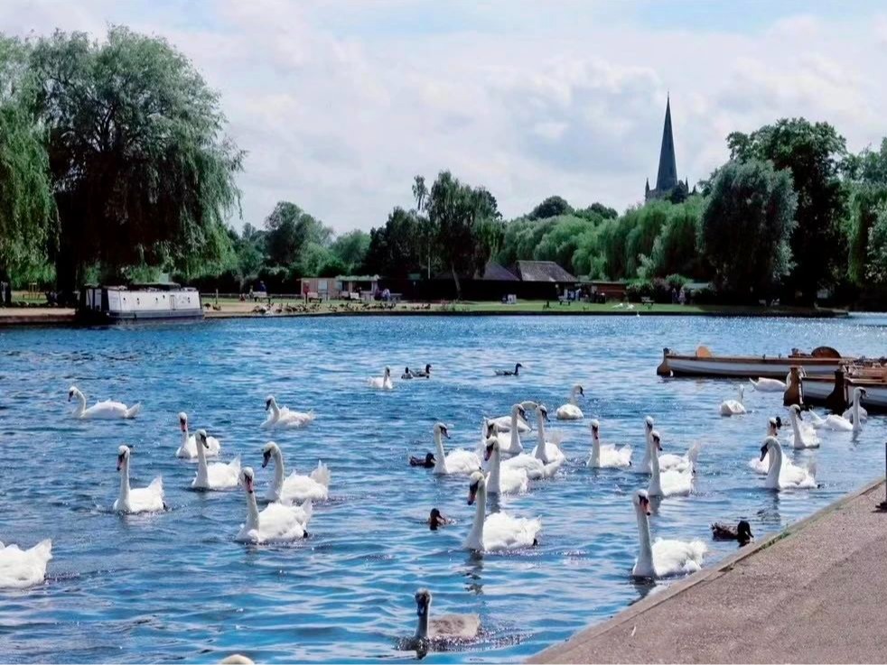 从莎翁文学浅析管理向导艺术丨MBA国际商务方略@英国华威大学