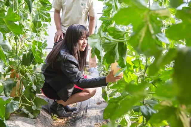 万利·(中国区)官方网站