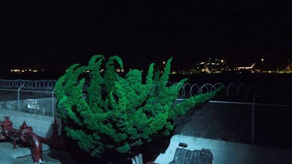 万利·(中国区)官方网站