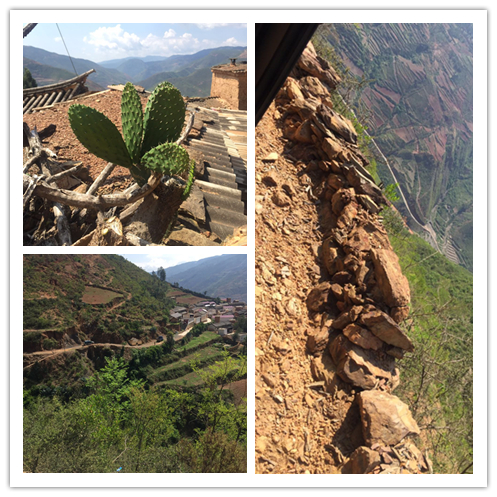 万利·(中国区)官方网站