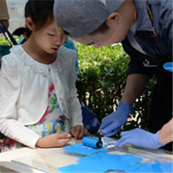 万利·(中国区)官方网站