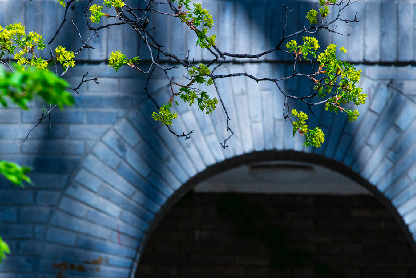 万利·(中国区)官方网站