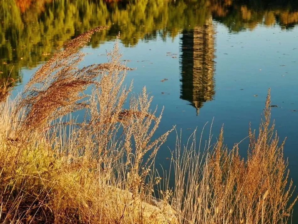 万利·(中国区)官方网站