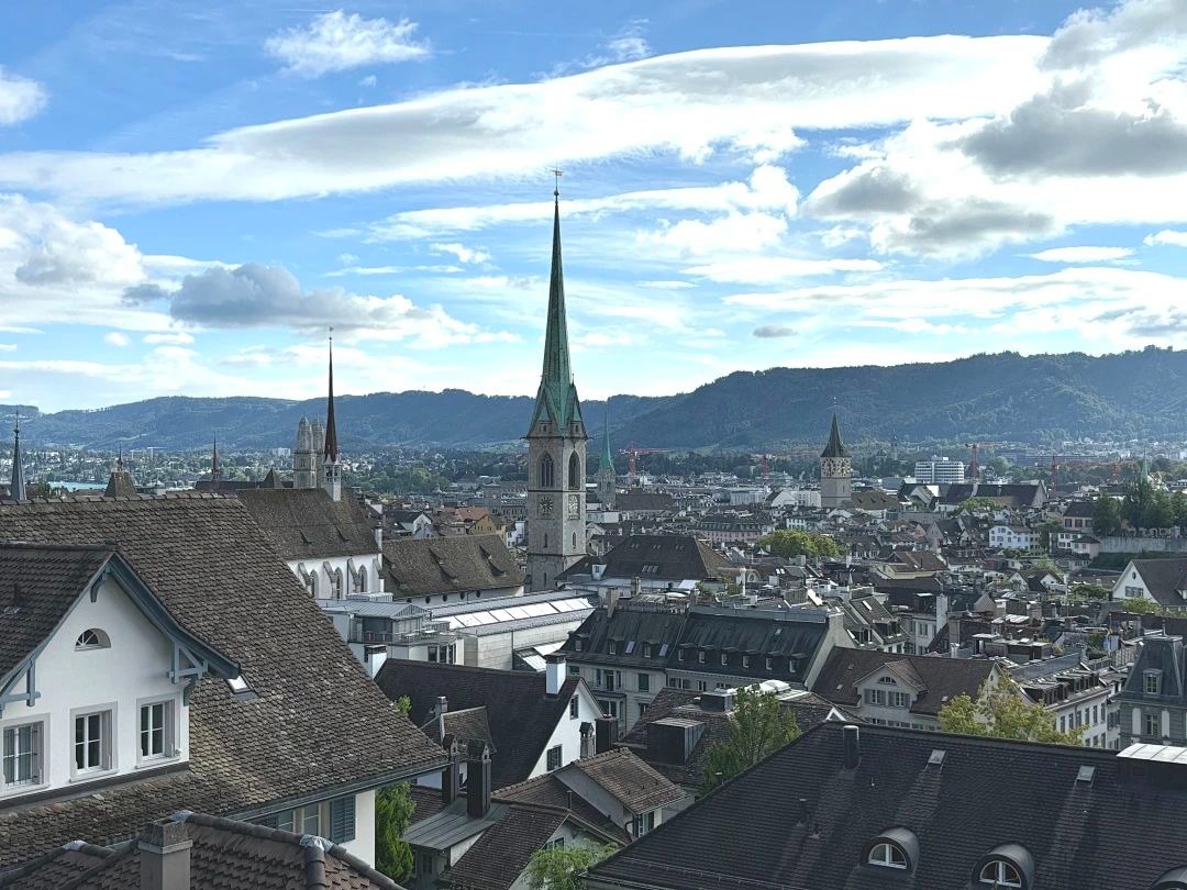 陶醉于湖光与山色，，，，，，，叹止于财产与立异|MBA国际商务方略@苏黎世