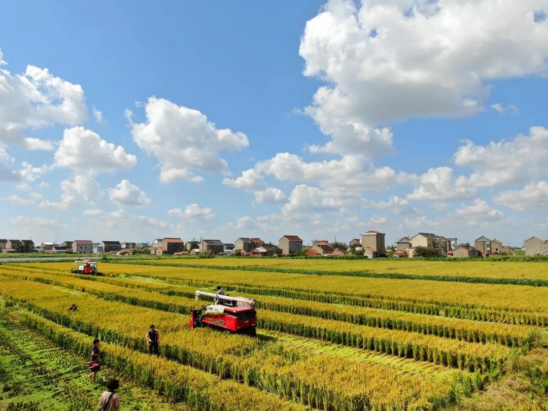 万利·(中国区)官方网站