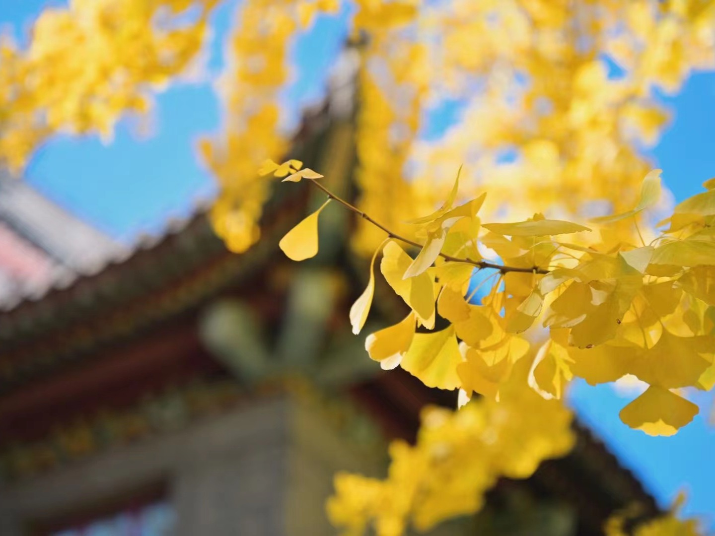 万利·(中国区)官方网站