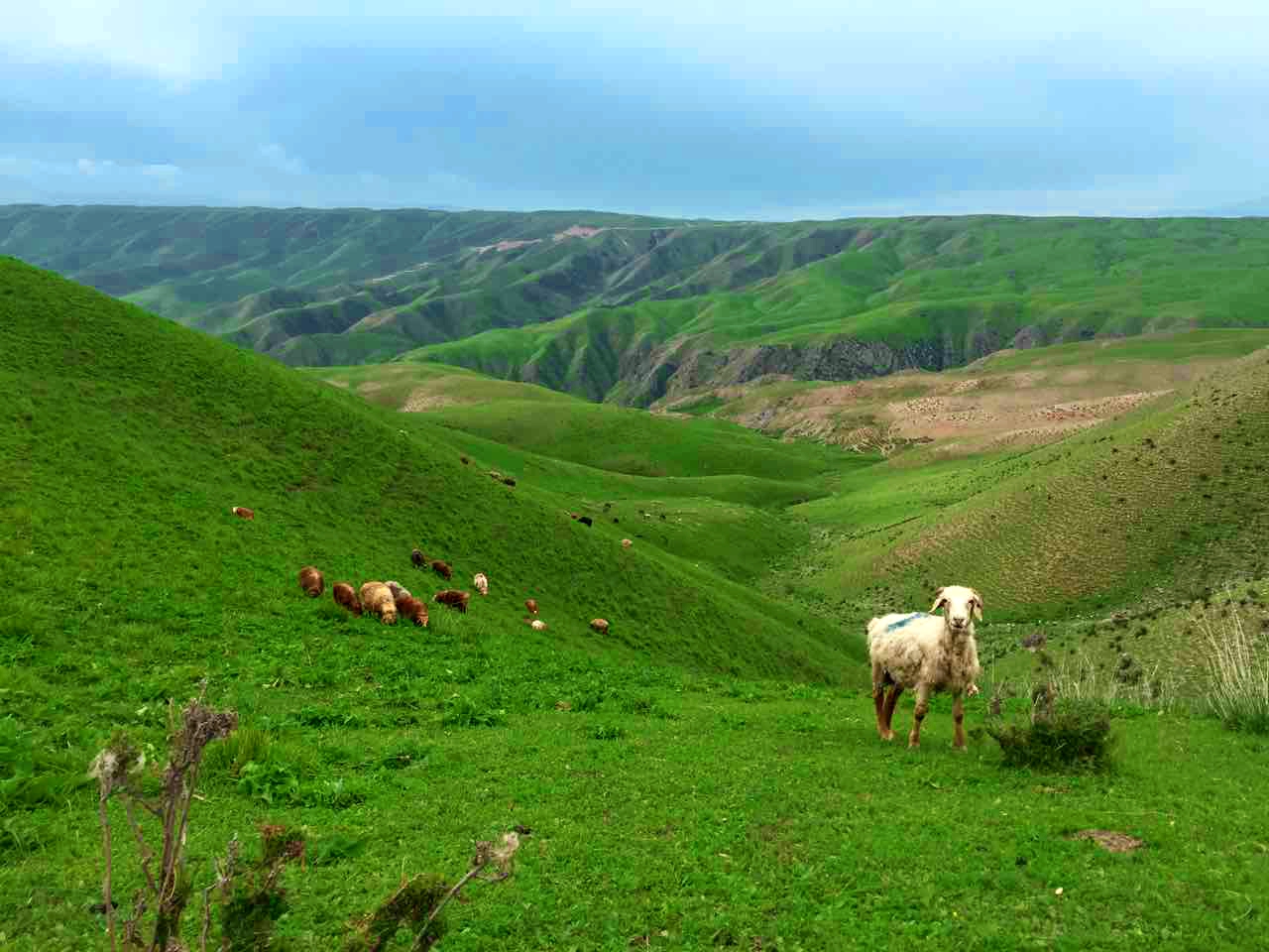 万利·(中国区)官方网站
