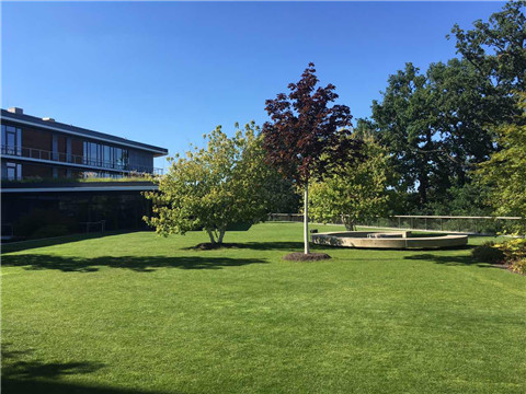 万利·(中国区)官方网站