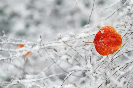 万利·(中国区)官方网站
