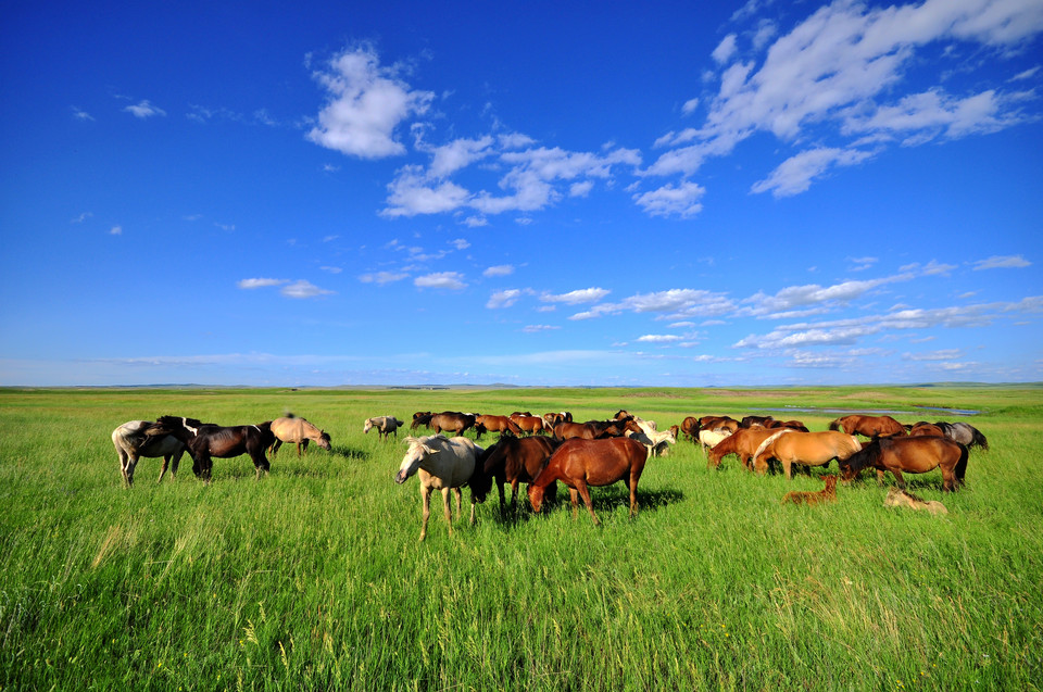 万利·(中国区)官方网站