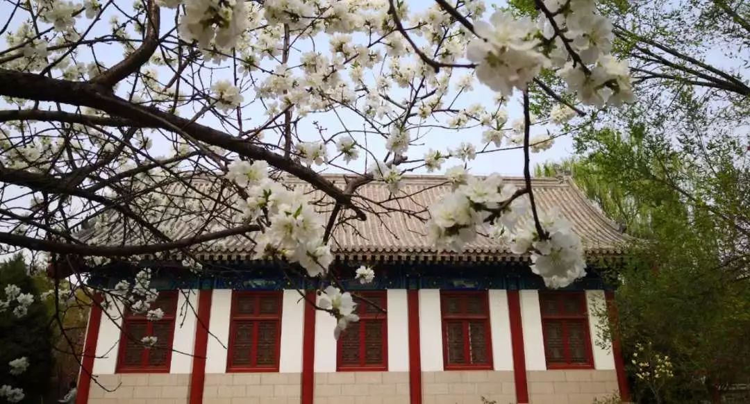 万利·(中国区)官方网站