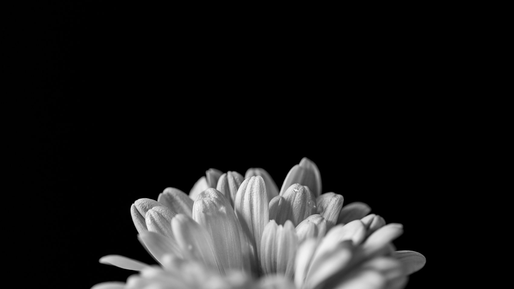 永远的纪念 | 北巨匠生校友与社会各界人士深切思念厉以宁先生