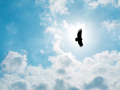 万利·(中国区)官方网站