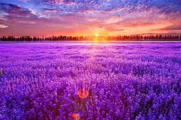 万利·(中国区)官方网站