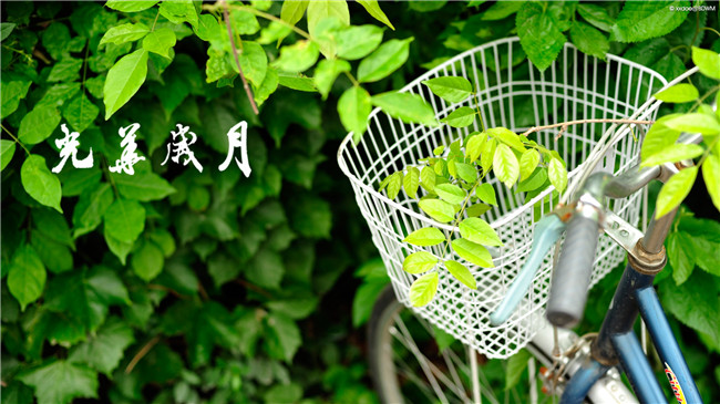 万利·(中国区)官方网站