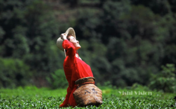 万利·(中国区)官方网站