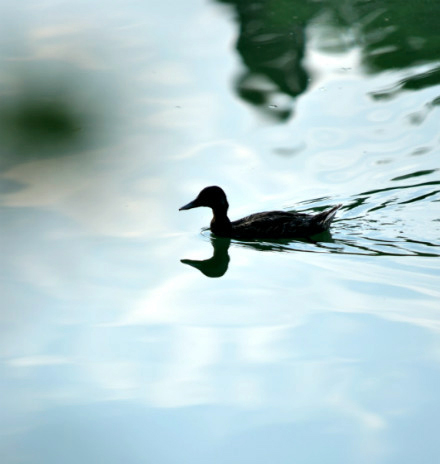 万利·(中国区)官方网站