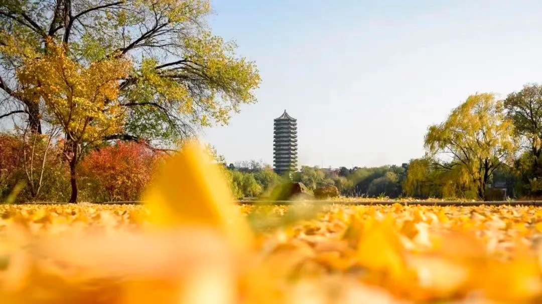 万利·(中国区)官方网站