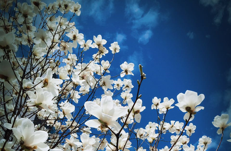 万利·(中国区)官方网站