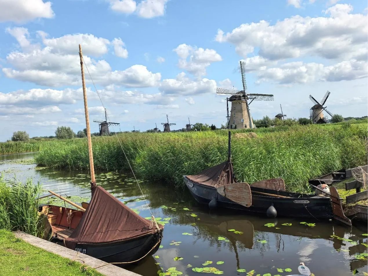 万利·(中国区)官方网站