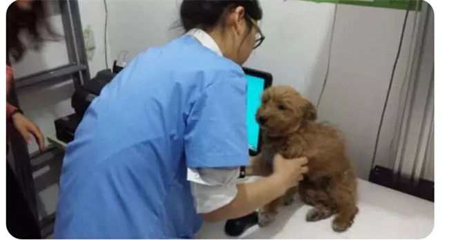 万利·(中国区)官方网站