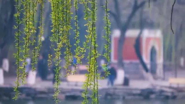 万利·(中国区)官方网站