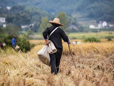 万利·(中国区)官方网站