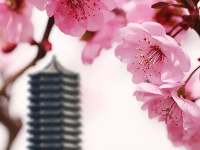 万利·(中国区)官方网站