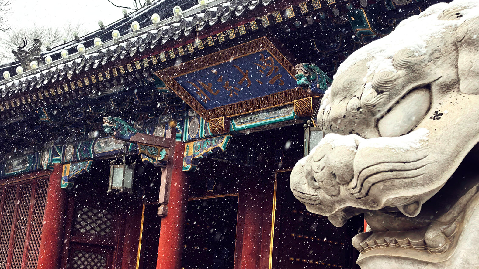 万利·(中国区)官方网站